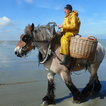 Сasa de vacaciones Holiday Garnaalhuisje Oostduinkerke